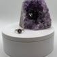 Amethyst Halo Ring – Sterling Silver – Classic Elegance with a Purple Glow - Size 7