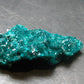 Very Nice Dioptase Cluster from Congo - 2.1" - 13.28 Grams