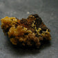 Nice Large Yellow Mimetite Cluster from Mexico - 1.2"