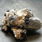 Brookite On Quartz Cluster From Arkansas - 48.86 Grams - 2.2"