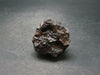 Rare Prophecy Stone Limonite after Pyrite From Egypt - 1.5" - 59.5 Grams