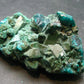 Very Nice Dioptase Cluster from Congo - 2.1" - 60.44 Grams