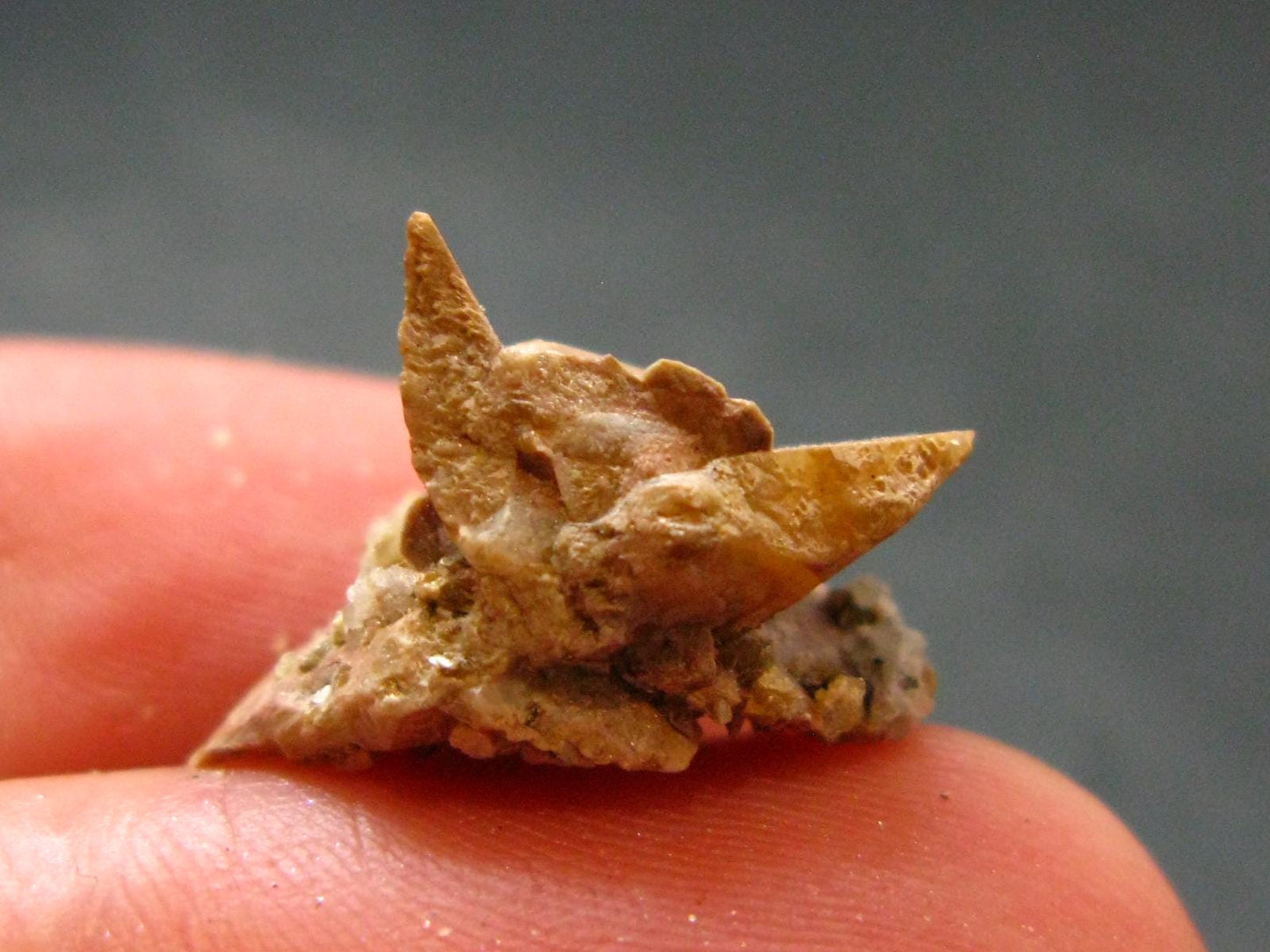 Rare Herderite Cluster from Brazil - 0.6" - 1.18 Grams