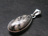 Pinolite Silver Plated Pendant from Austria - 1.5" - 5.25 Grams