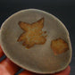 Large Rare Glendonite Crystal from Russia - 2.6"