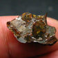 Large Sericho Meteorite Pallasite Olivine Slice From Kenya - 0.8" - 1.66 Grams