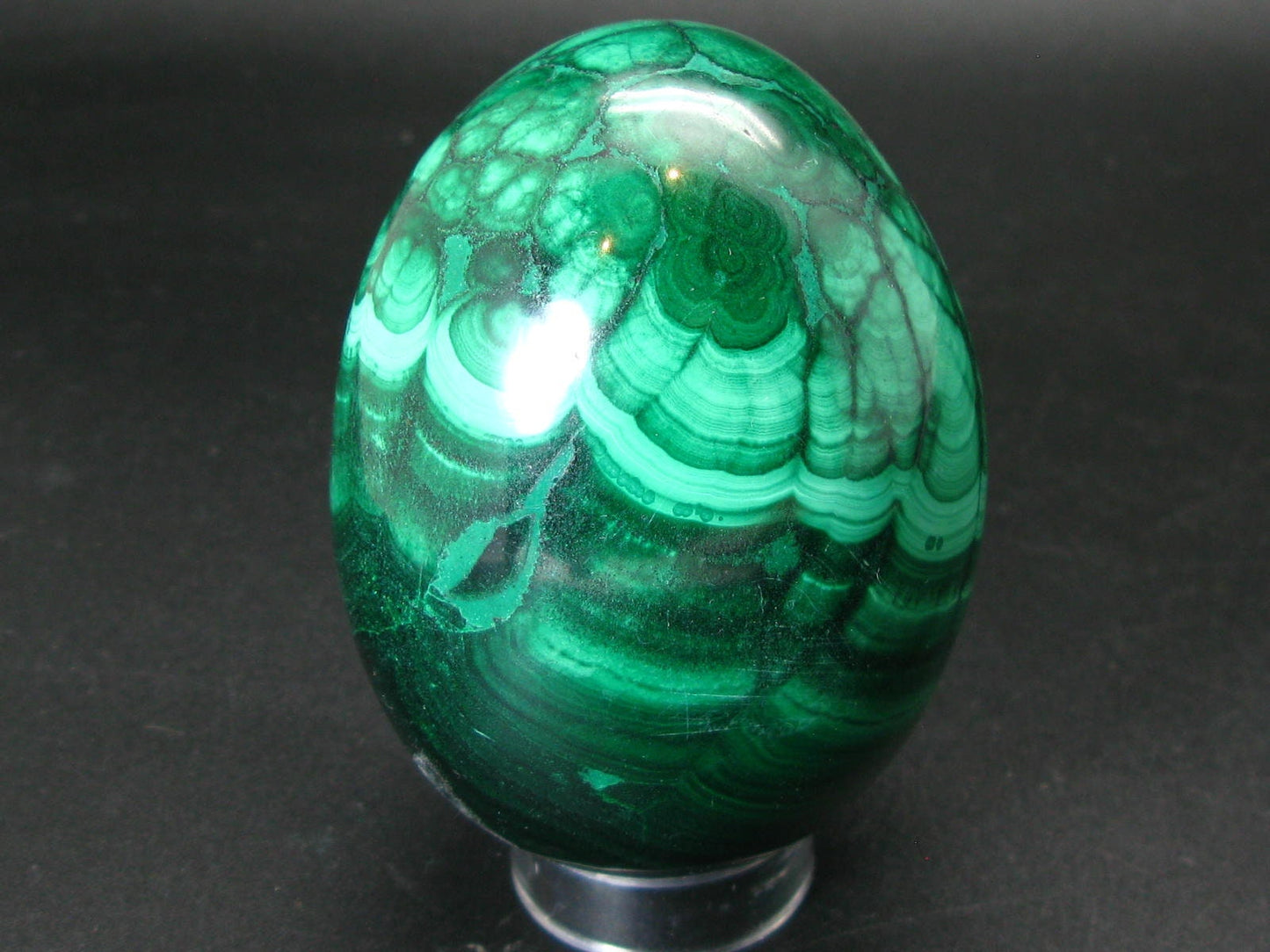 Large Rich Vivid Vibrant Green Malachite Egg From Congo - 3.5"