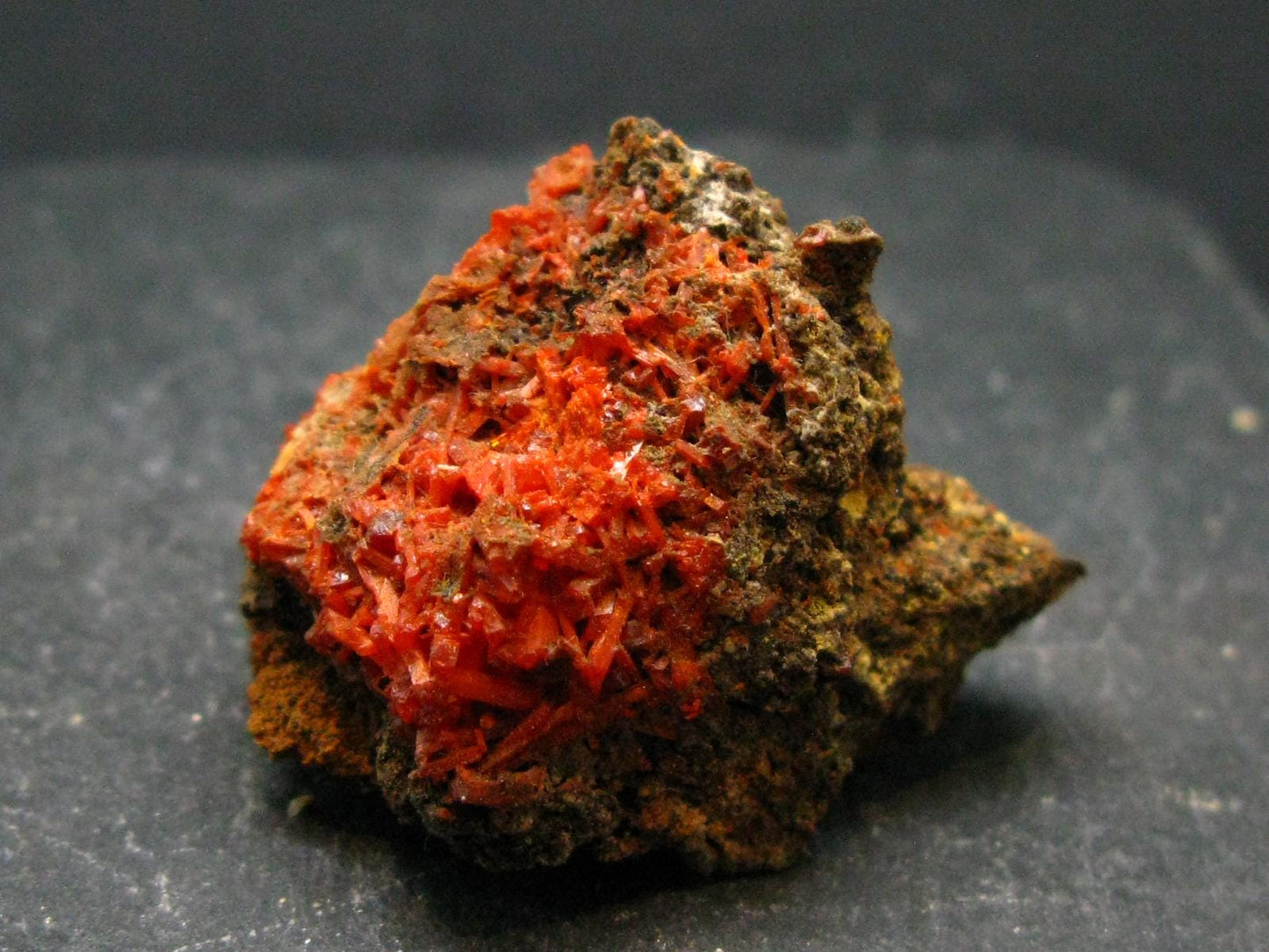 Rare Orange Crocoite Cluster From Australia - 1.4"- 16.03 Grams