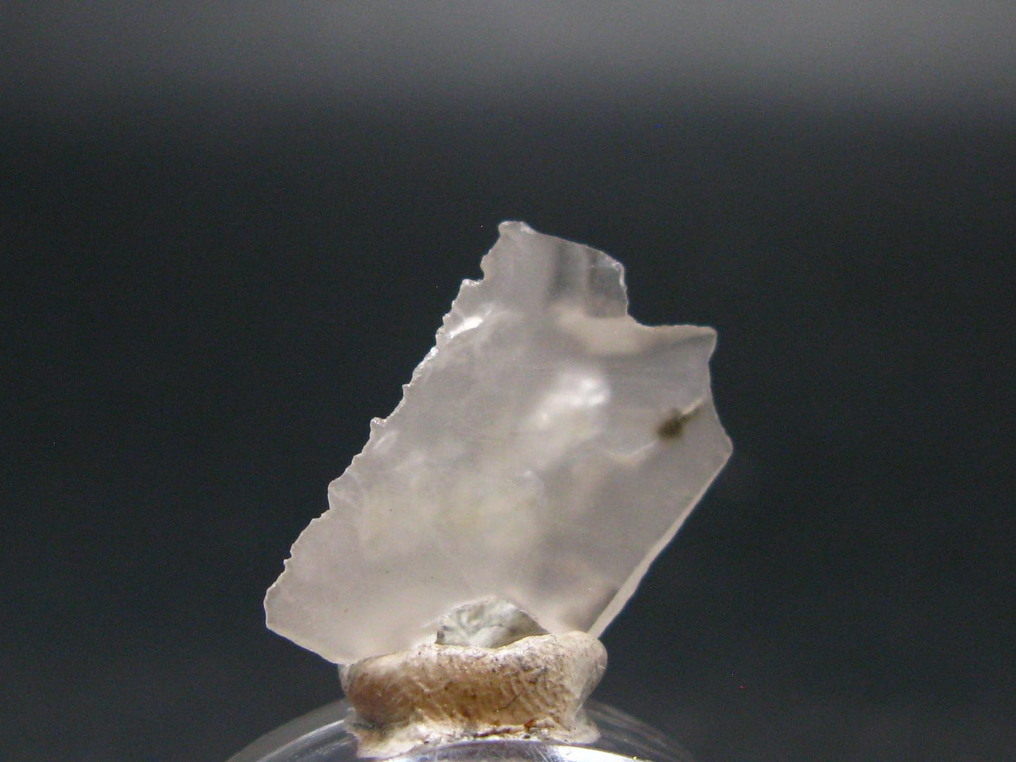 Phenakite Phenacite Crystal Slice from Russia - 4.31 Carats - 0.8"