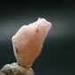 Rare Pezzottaite Crystal from Madagascar - 9.65 Carats - 0.7"