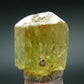 Large Gem Golden Apatite Crystal From Mexico - 0.7"