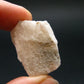 Phenakite Phenacite Gem Crystal from Brazil - 1.2" - 47.90 Carats