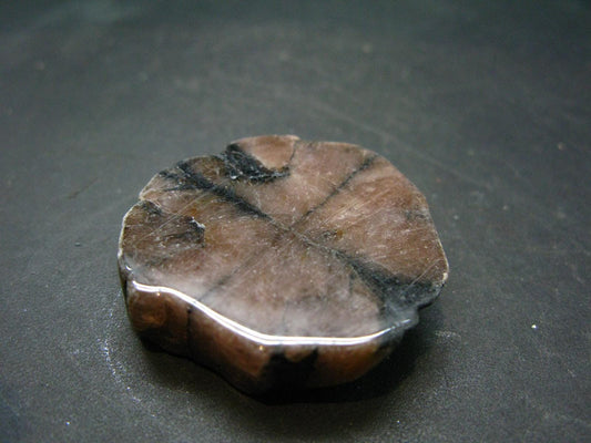 Andalusite Chiastolite Crystal From China - 3.8" - 30.50 Grams