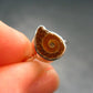 Natural Whole Polished Agatized Ammonite Cleoniceras Sterling Silver Ring from Madagascar - 1.56 Grams - Size 4
