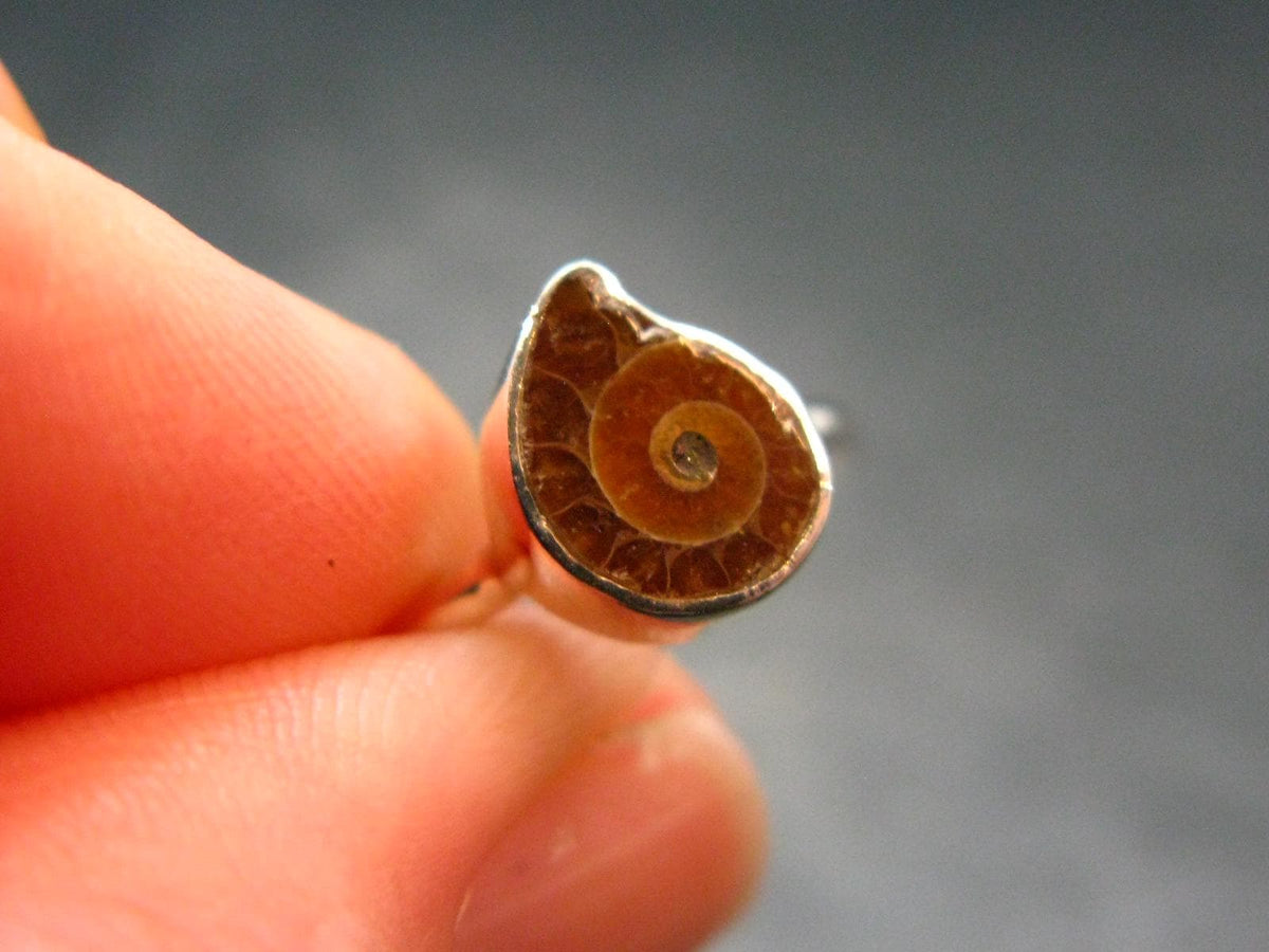 Natural Whole Polished Agatized Ammonite Cleoniceras Sterling Silver Ring from Madagascar - 1.56 Grams - Size 4
