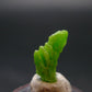 Very Nice Rare Pyromorphite Crystal from China - 0.5" - 1.14 Grams