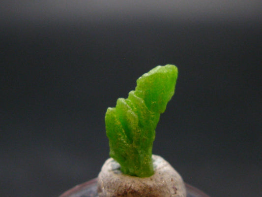 Very Nice Rare Pyromorphite Crystal from China - 0.5" - 1.14 Grams