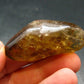Nice Untreated Unheated Citrine Tumbled Stone from Zambia - 20.34 Grams - 1.8"