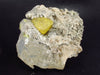 Large Yellow Sulphur Sulfur Cluster Italy - 3.1"