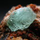 Very Rare Phosphophyllite Crystal From Bolivia - 1.8" - 29.59 Grams