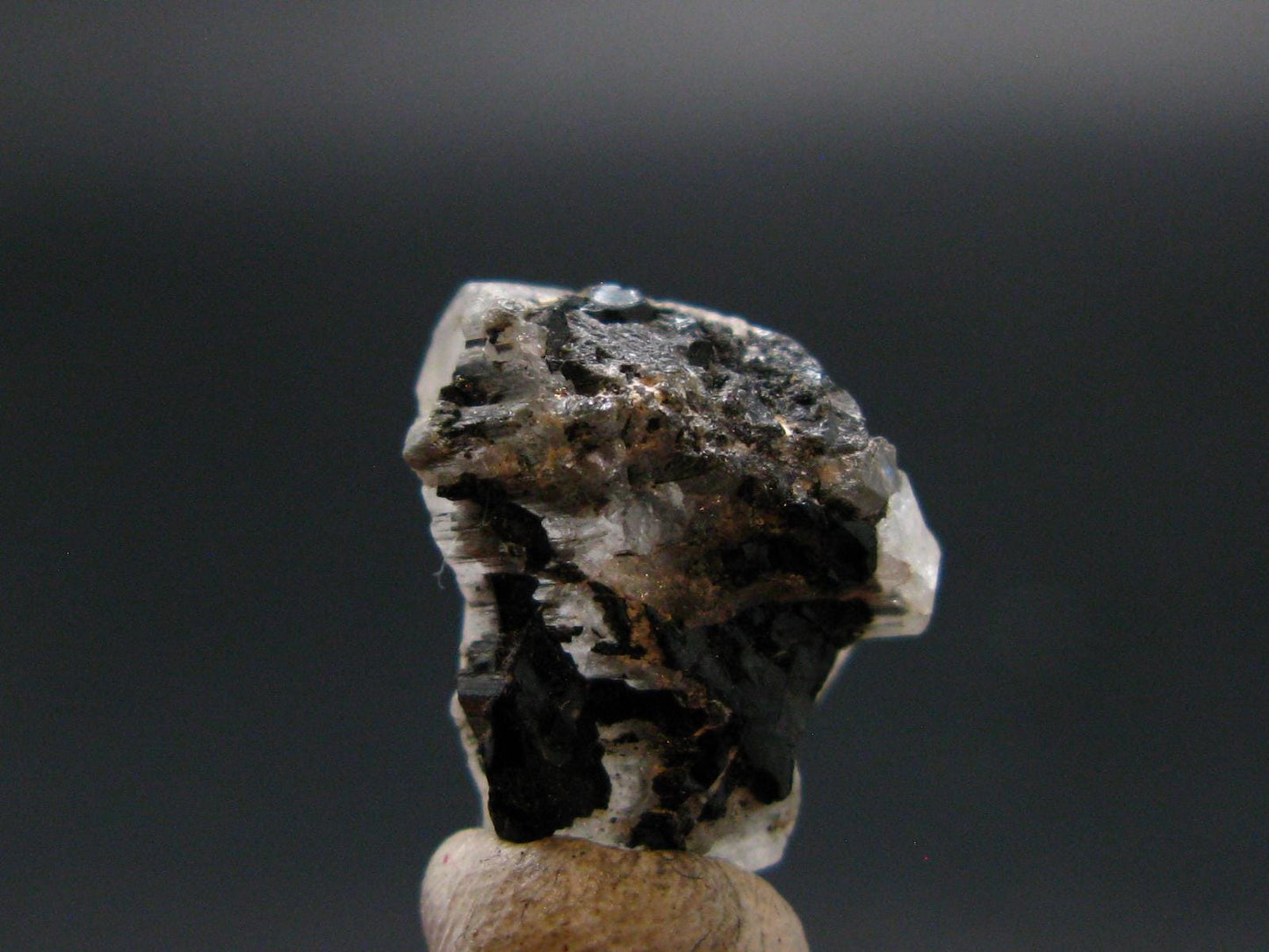 Phenakite Phenacite Crystal from Madagascar 9.79 Carats