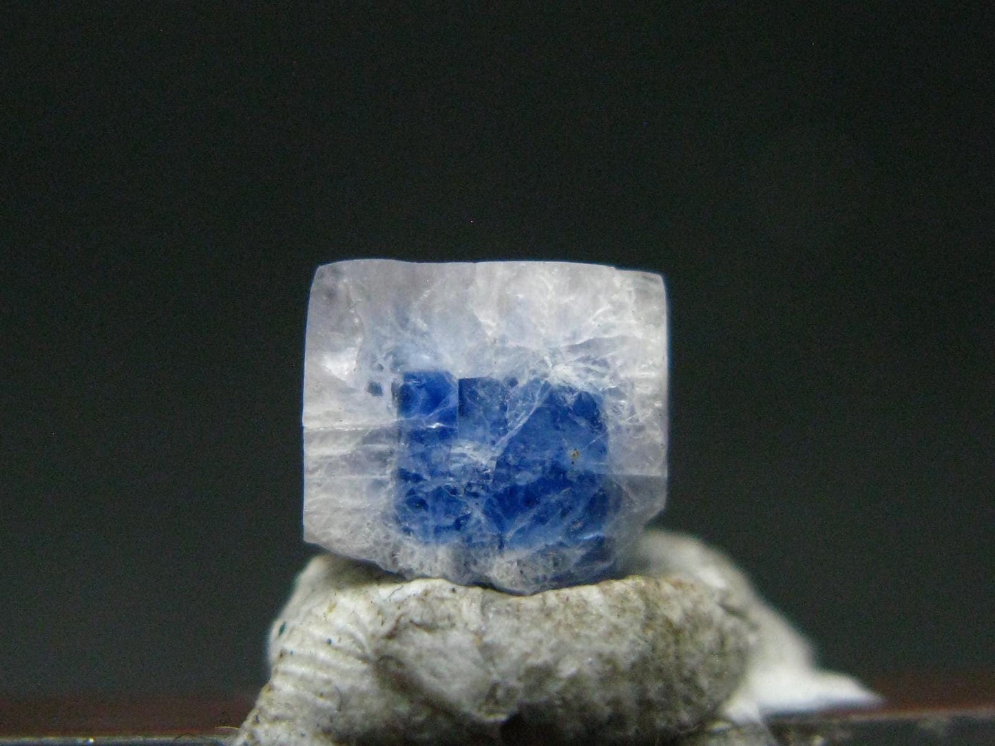 Fine Rare Carletonite Crystal From Mt. St. Hilaire Canada - 0.4" - 0.28 Grams