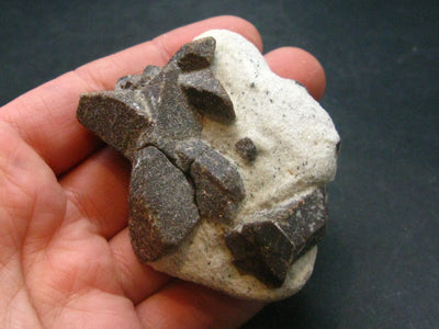 A Perfect Staurolite Crystal on Matrix from Russia - 2.2"