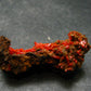 Rare Orange Crocoite Cluster From Australia - 1.7"- 7.48 Grams