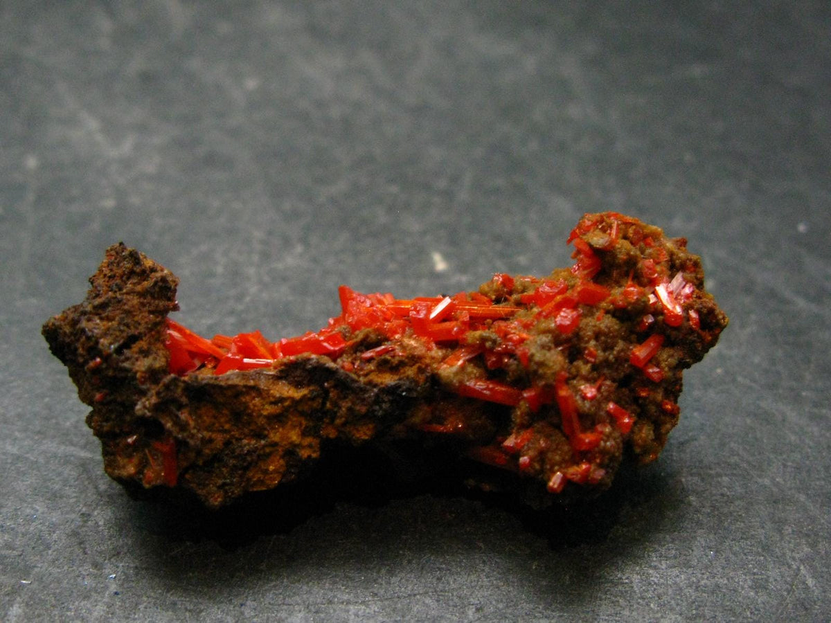 Rare Orange Crocoite Cluster From Australia - 1.7"- 7.48 Grams
