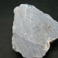 Very Nice Angelite Angellite From Peru - 3.2" - 125.95 Grams
