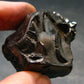 Elite Shungite Raw Piece from Russia - 1.4" - 25.66 Grams