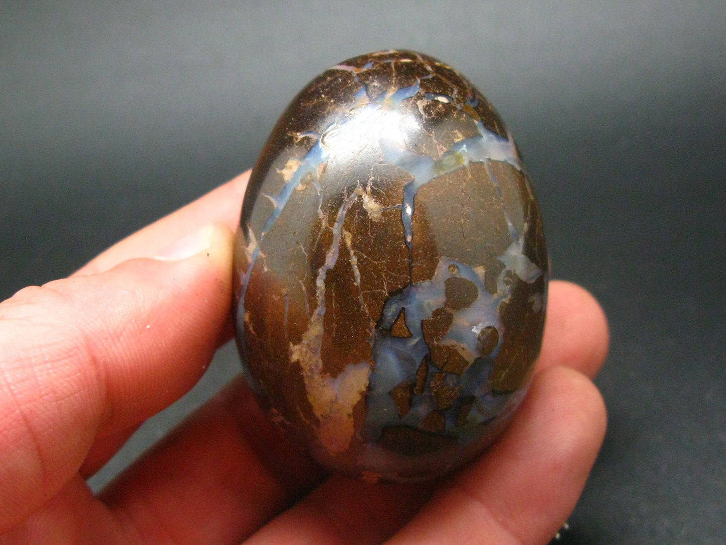 Super Rare Boulder Opal Egg from Australia - 2.3" - 145.2 Grams
