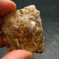 Rare Herderite Polished Crystal from Brazil - 20.77 Grams - 1.4"