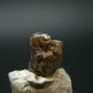 Rare Genuine Diamond Crystal From Congo - 4.30 Carats