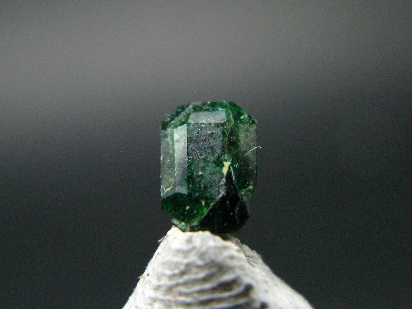 Rare Gem Uvarovite Garnet Cut Stone from Afghanistan - 0.28 Carats