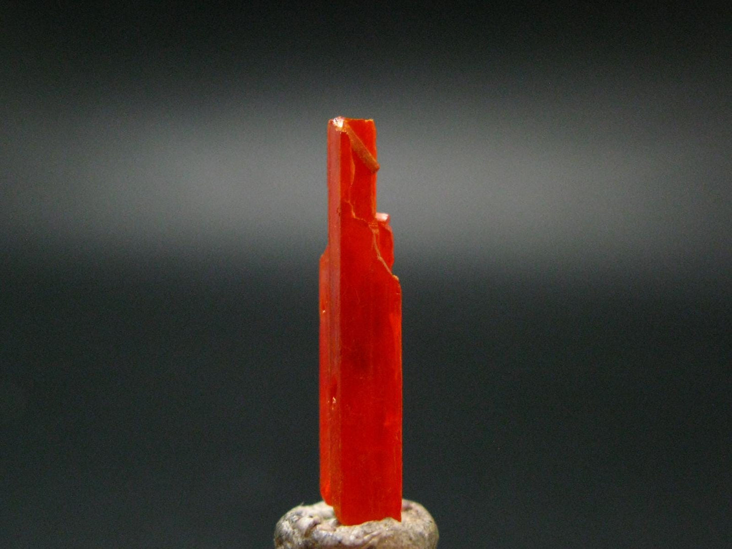 Large Orange Crocoite Crystal From Australia - 0.9" - 6.65 Carats