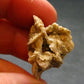 Herderite Cluster from Brazil - 5.0 Grams - 1.1"