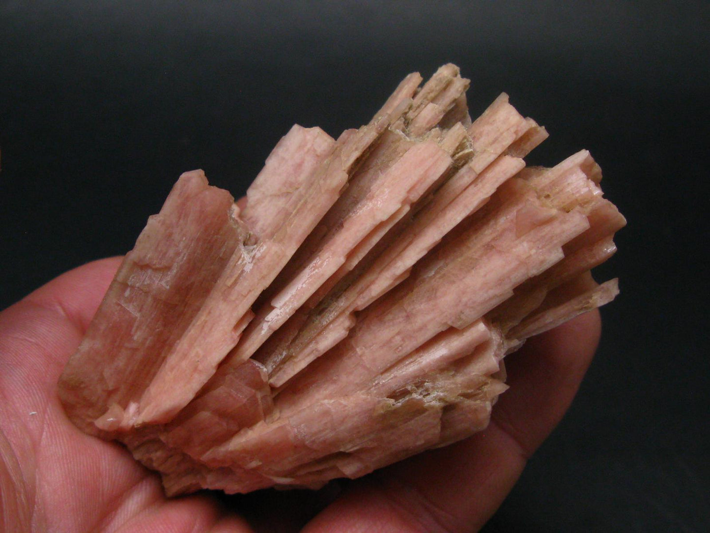 Serandite and Analcime Fine Crystal From Canada - 3.3"