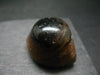 Perfect! 1.7" Agate Shiva Eye from India - 50.82 Grams