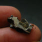 Large Sericho Meteorite Pallasite Olivine Slice From Kenya - 0.6" - 0.94 Grams