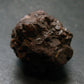 Rare Prophecy Stone Limonite after Pyrite From Egypt - 1.1" - 58.74 Grams