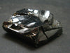 Elite Shungite Raw Piece from Russia - 1.5" - 10.57 Grams