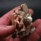 Serandite and Analcime Fine Crystal From Canada - 3.3"