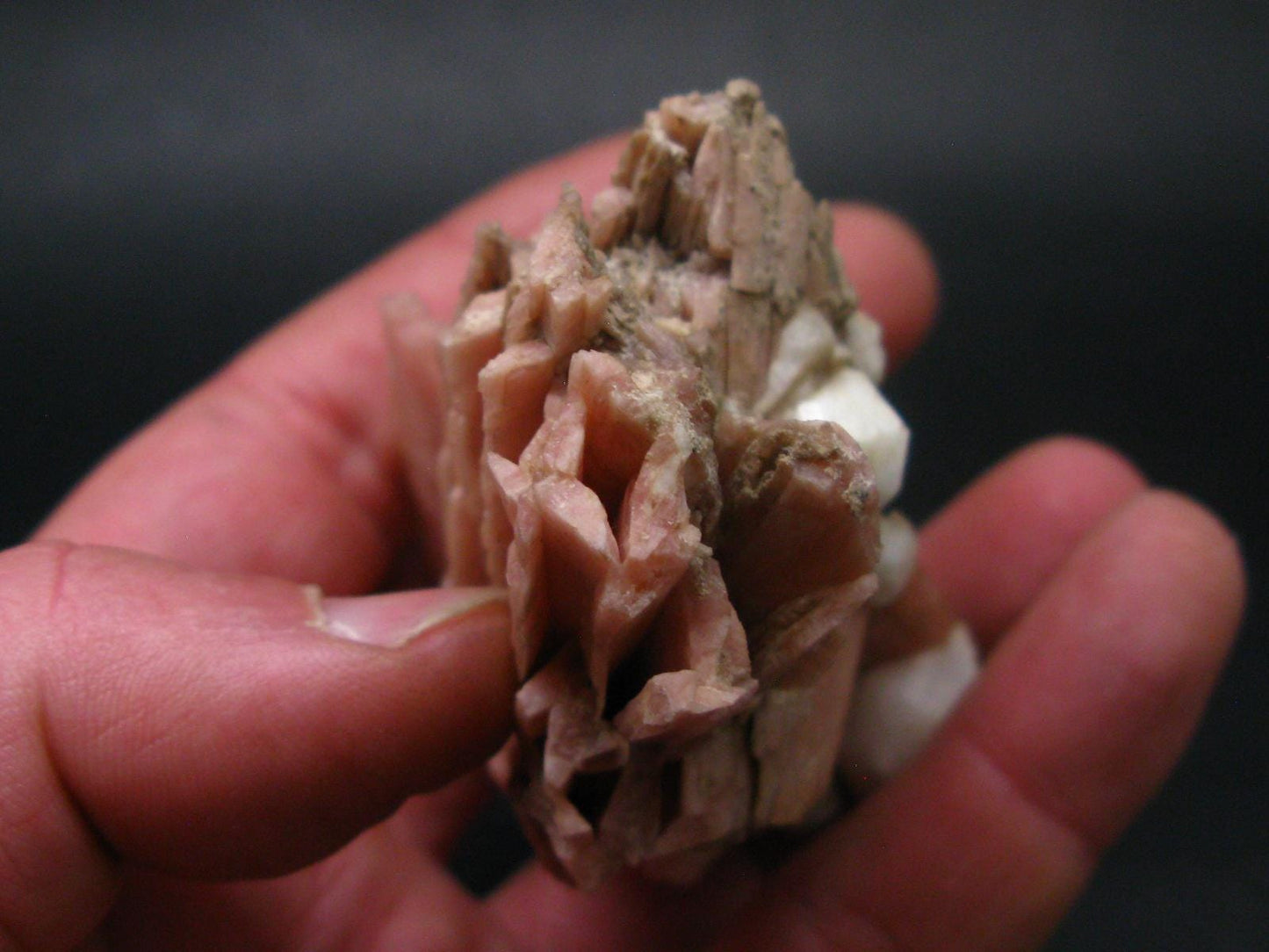 Serandite and Analcime Fine Crystal From Canada - 3.3"