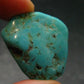 Genuine Tumbled Turquoise from Arizona, USA - 1.3" - 9.14 Grams