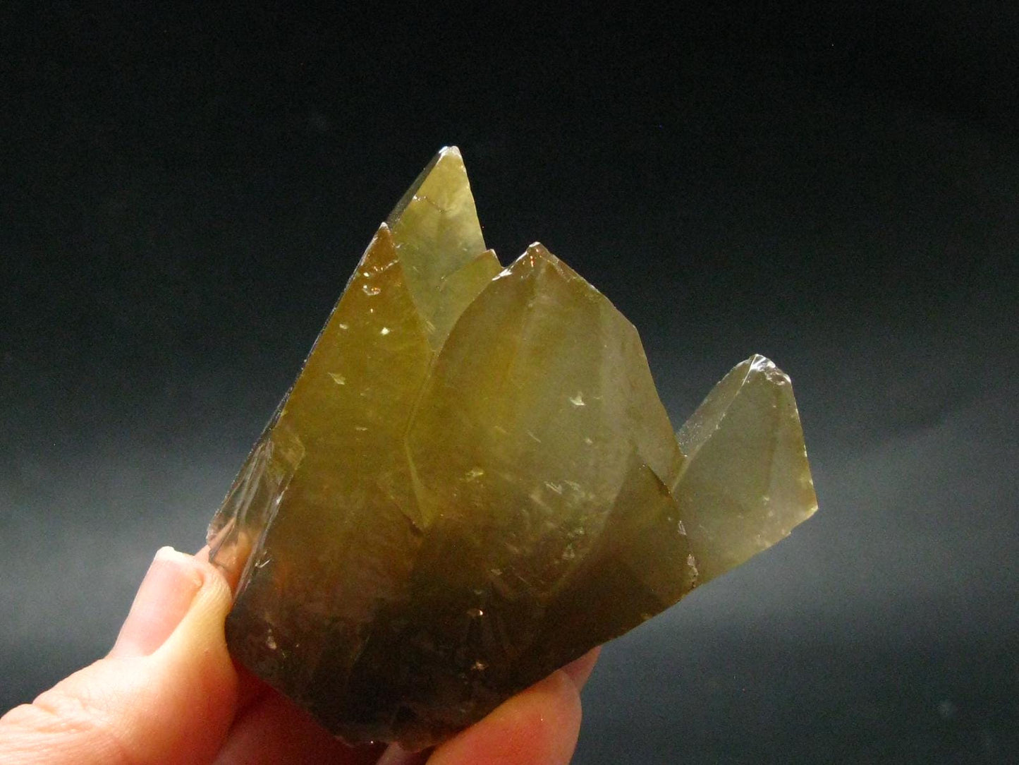 Huge Dogtooth Stellar Beam Calcite Crystal From Tennessee USA - 2.1" - 98.68 Grams