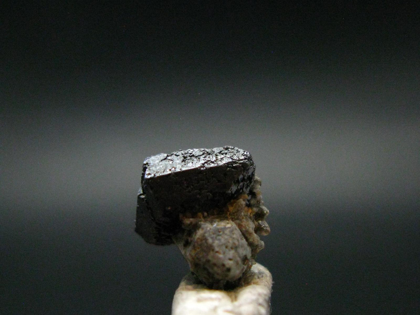 Large Brookite Crystal From Arkansas - 1.68 Grams - 14 mm