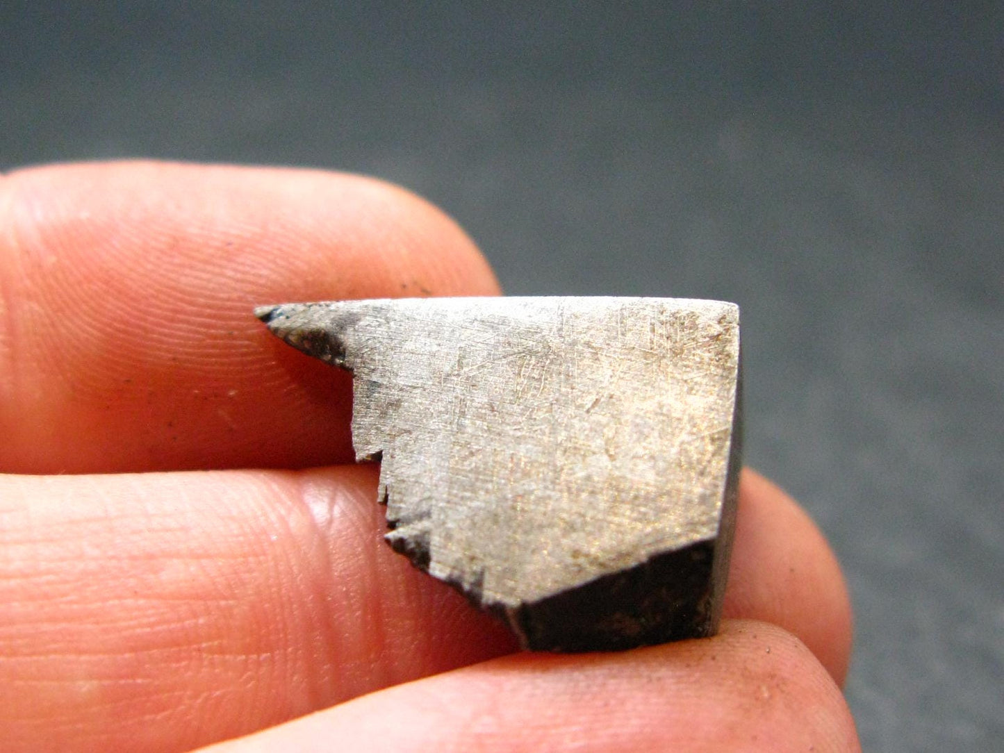 Large Gibeon Meteorite From Namibia - 0.8" - 6.93 Grams