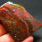 Ammolite Ammollite Fossil From Alberta Canada - 2.5" - 51.59 Grams