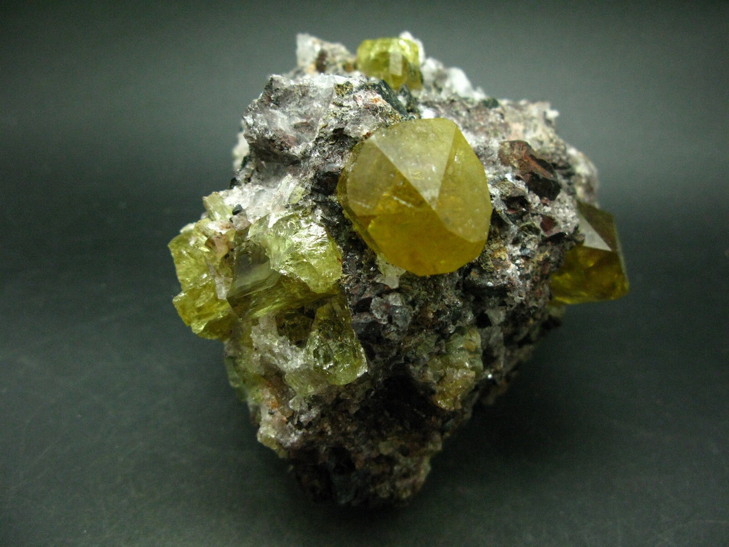 Museum Golden Apatite Cluster From Mexico - 4.8"